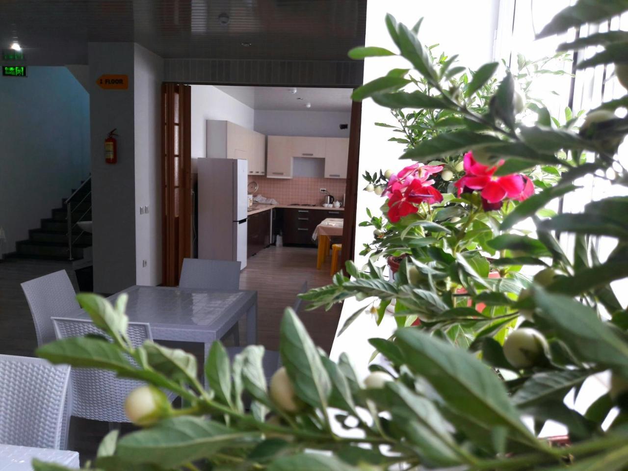 Jules Verne Hostel Tashkent Ngoại thất bức ảnh